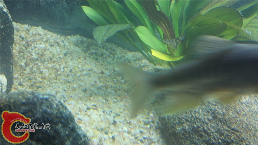 2011-10-18_21-06-29_962.jpg
