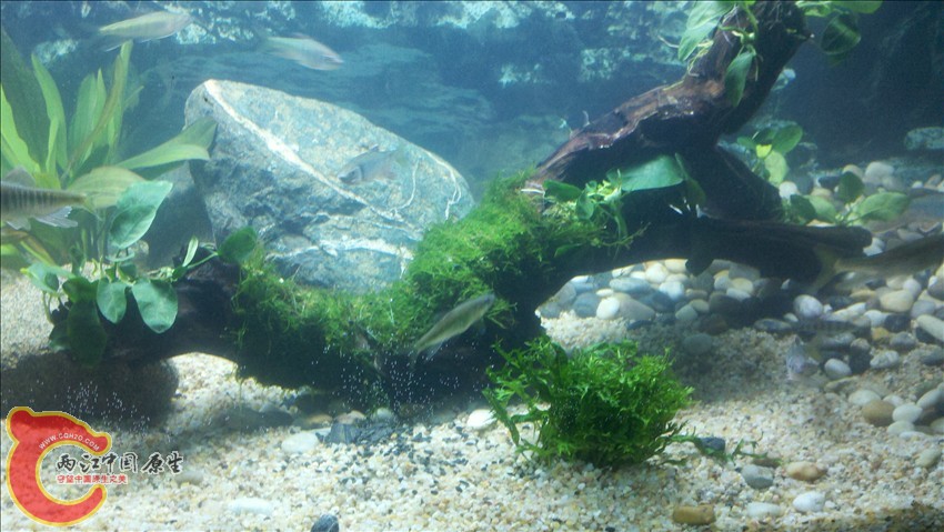2011-10-18_22-02-08_553.jpg