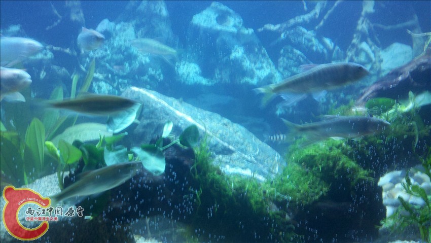 2011-10-18_22-02-33_332.jpg