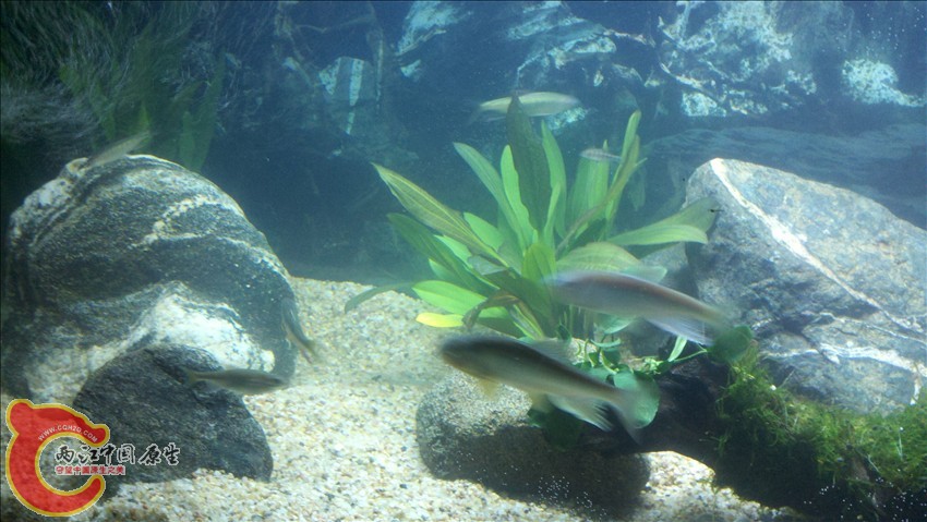 2011-10-18_22-02-48_658.jpg
