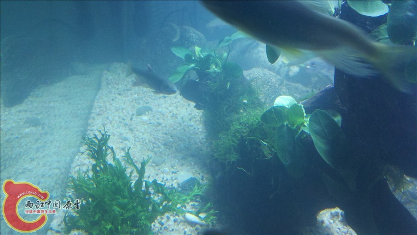 2011-10-18_22-03-01_810.jpg