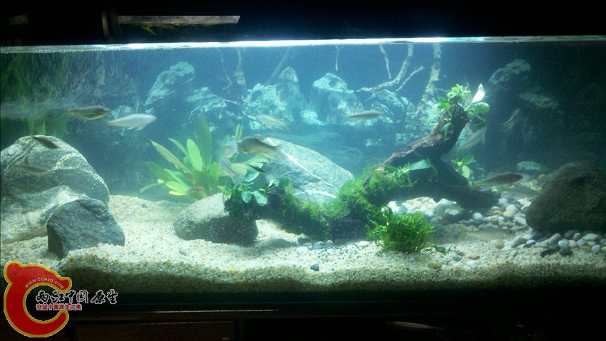 2011-10-18_22-03-57_658.jpg