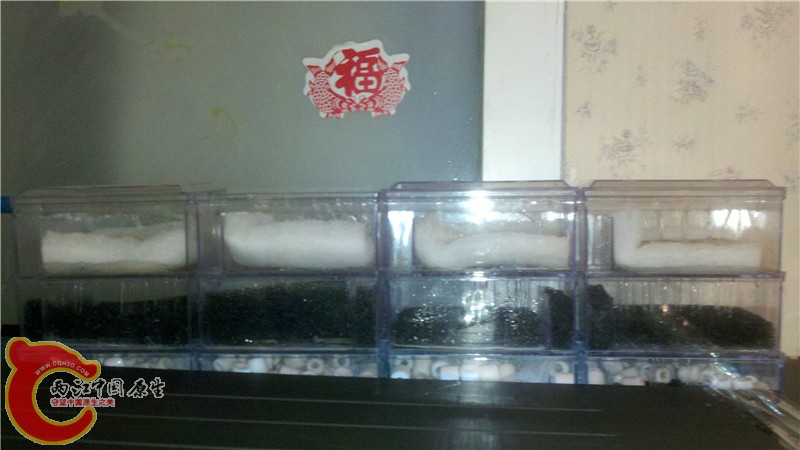 2011-10-18_22-24-51_793_副本.jpg