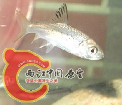 未命名3.jpg