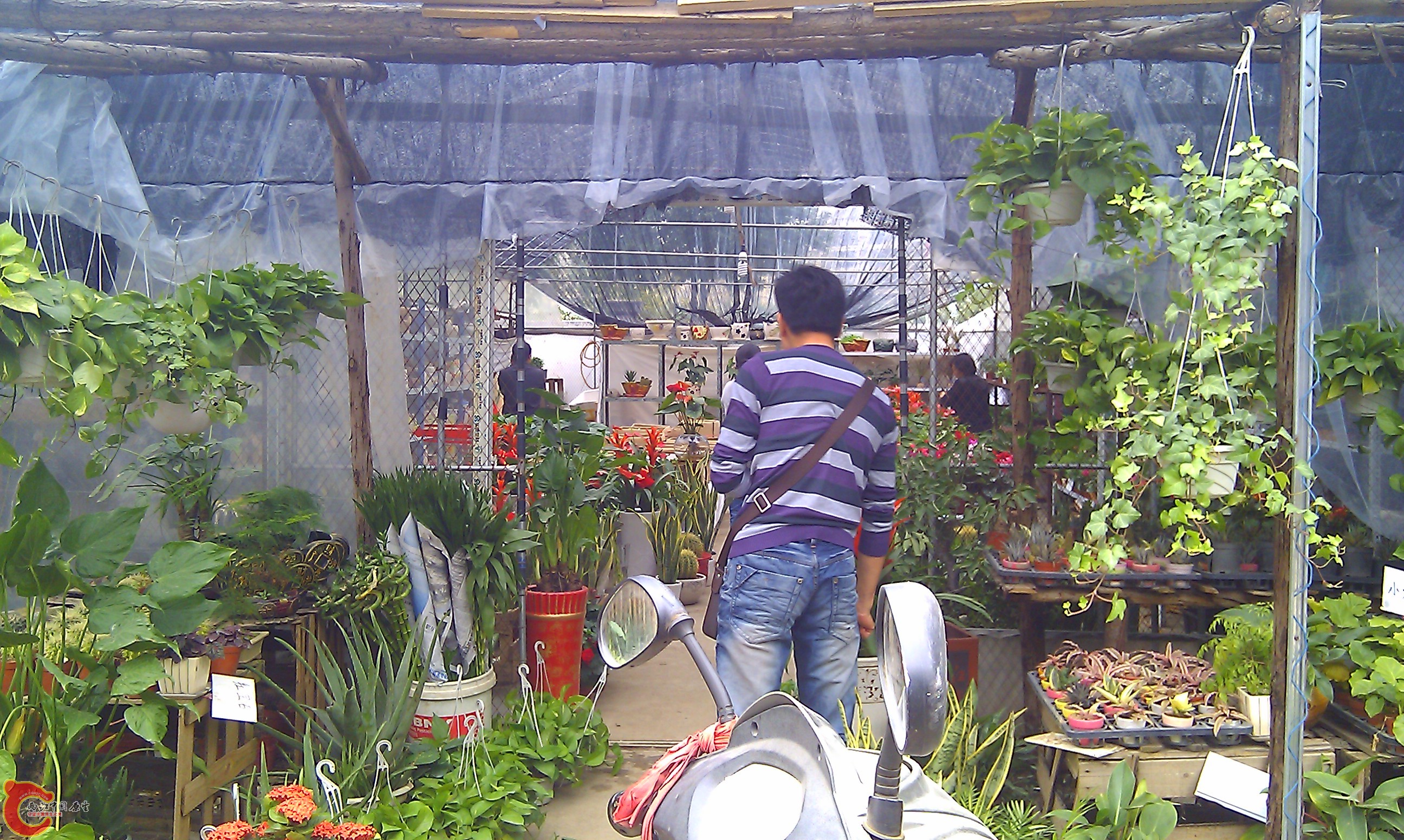 IMAG0069.jpg