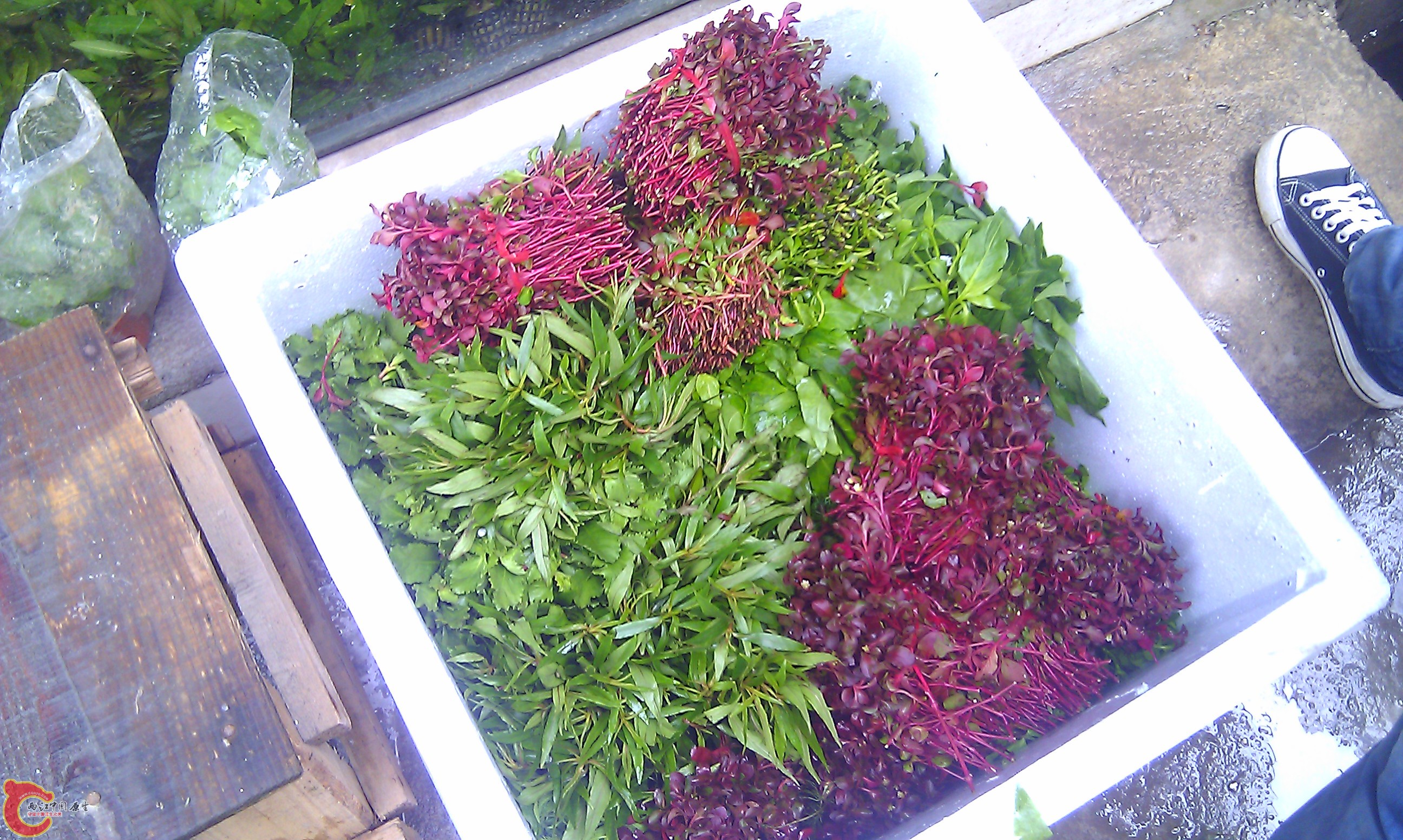 IMAG0073.jpg