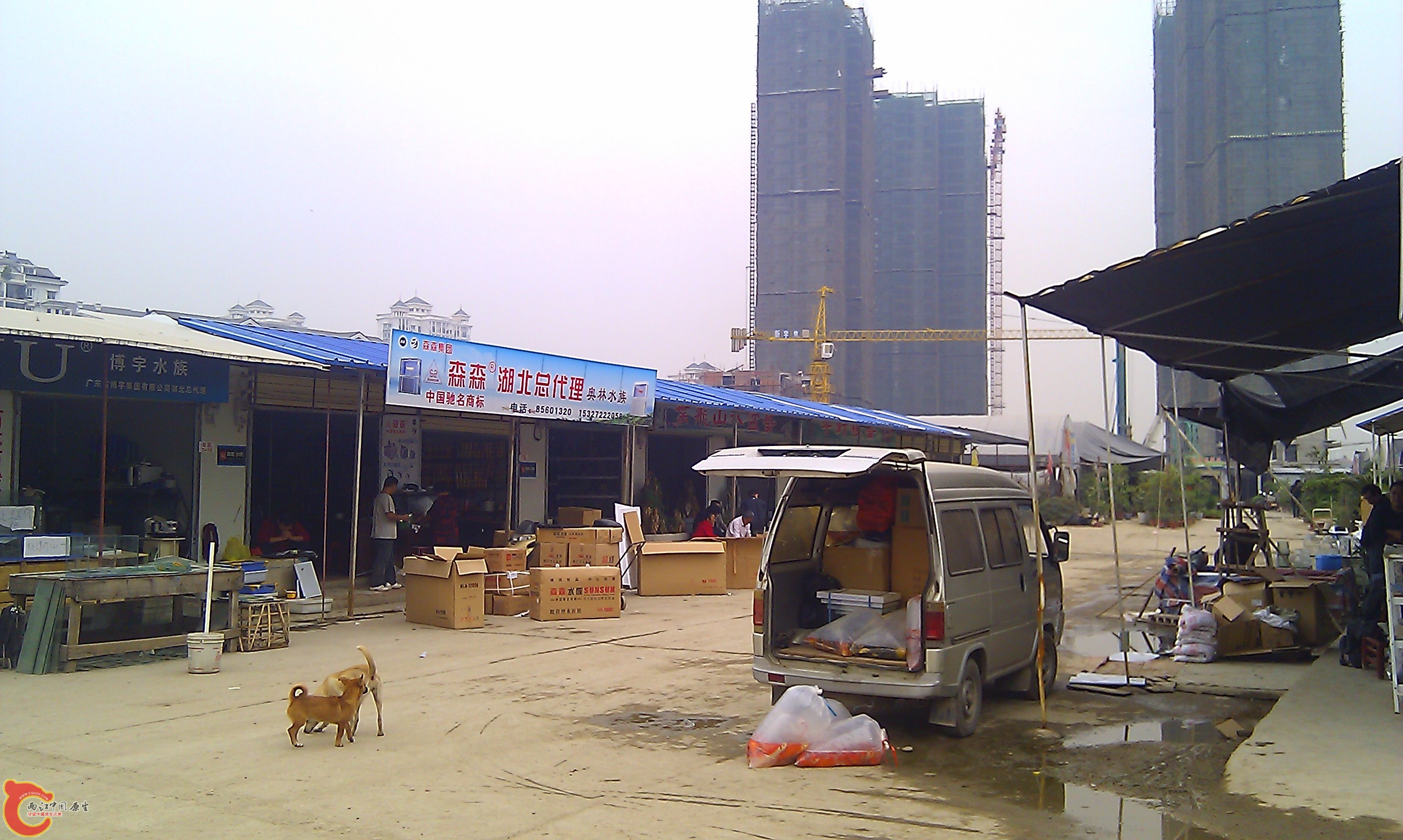 IMAG0080.jpg