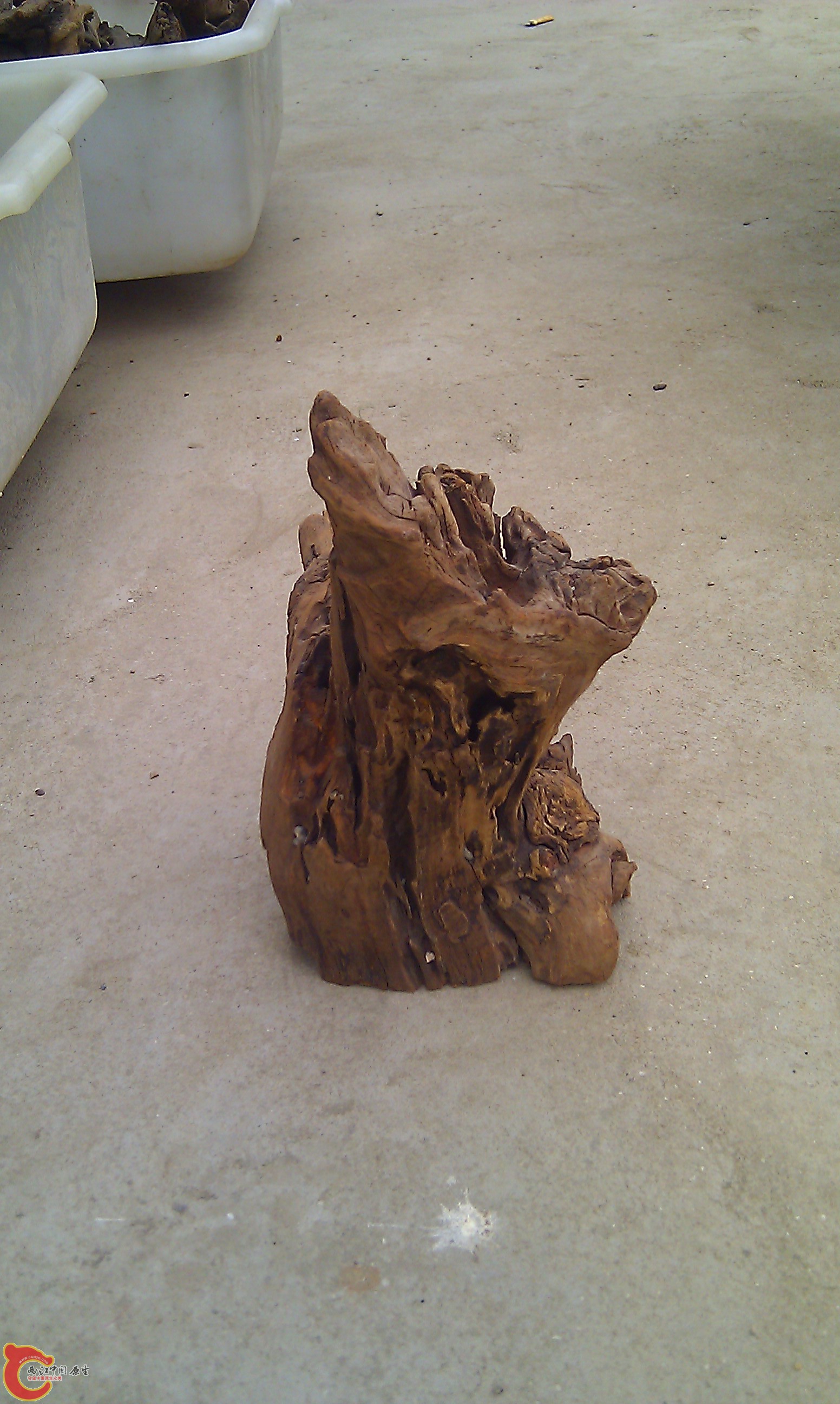 IMAG0084.jpg