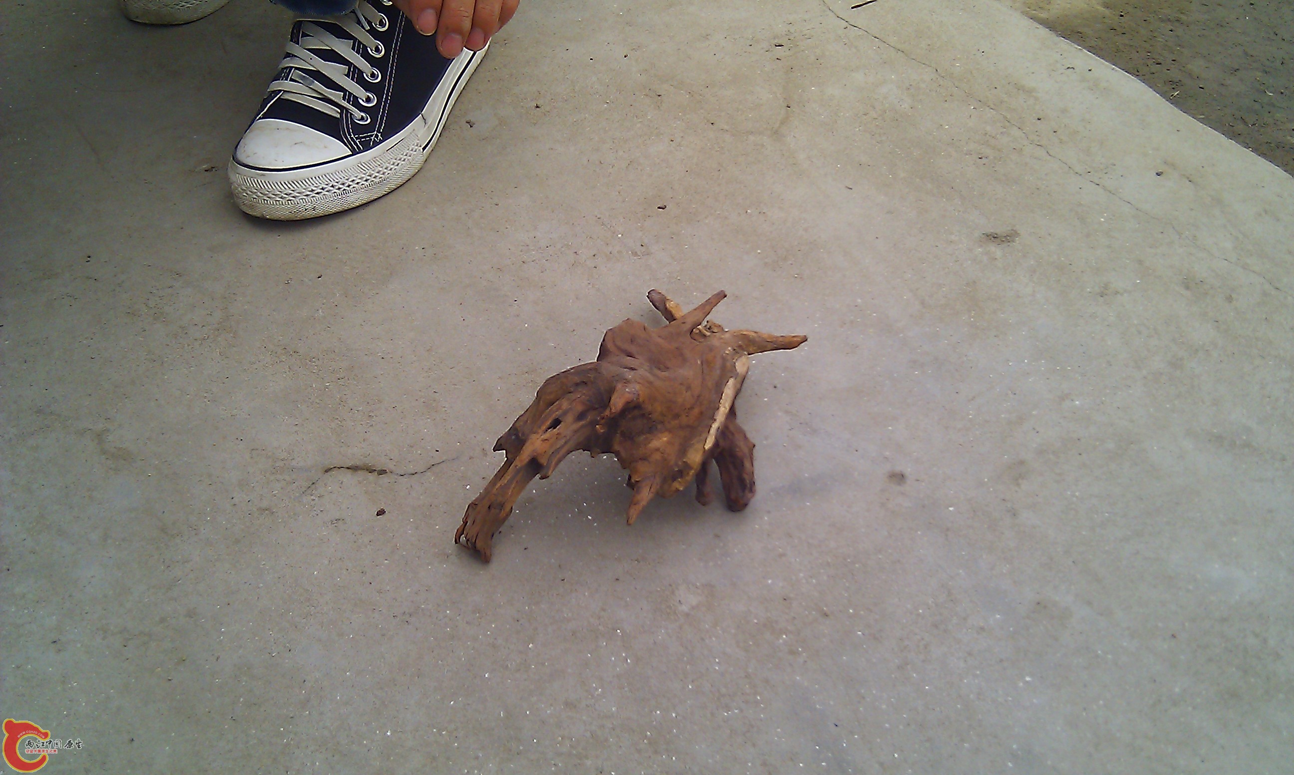 IMAG0085.jpg