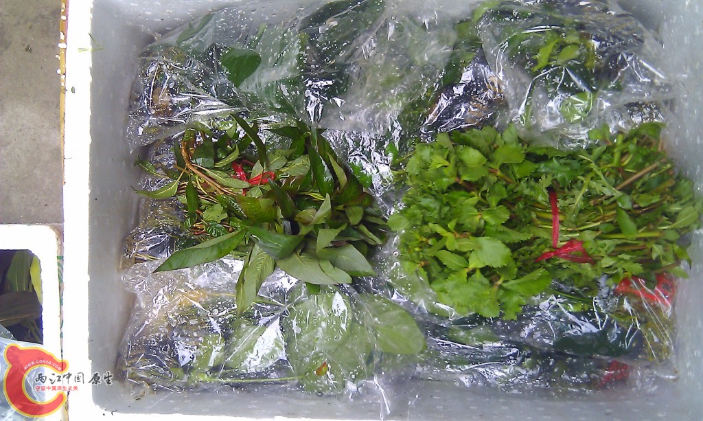 conew_imag0077.jpg