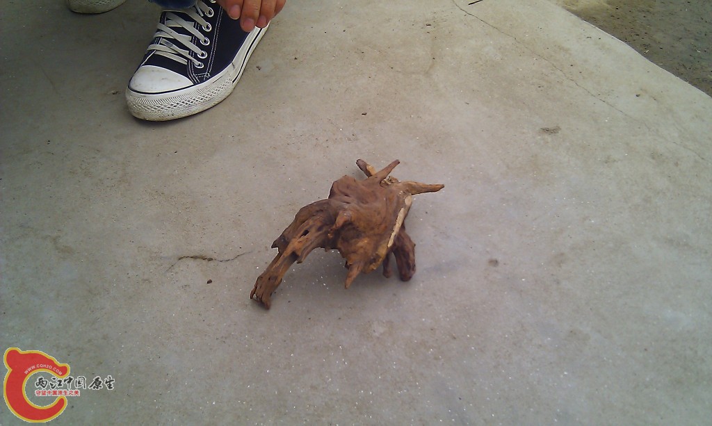 conew_imag0085.jpg