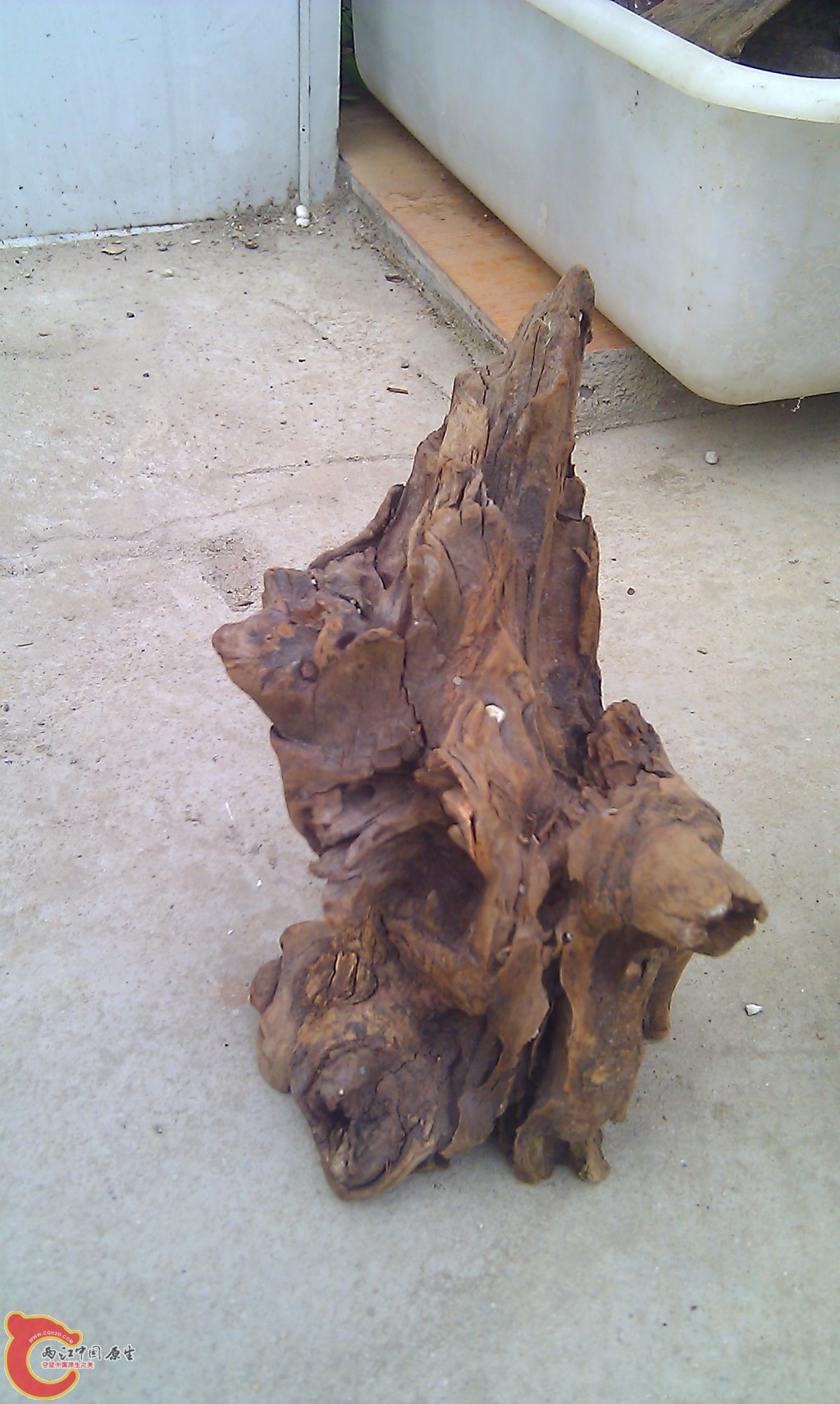 conew_imag0086.jpg