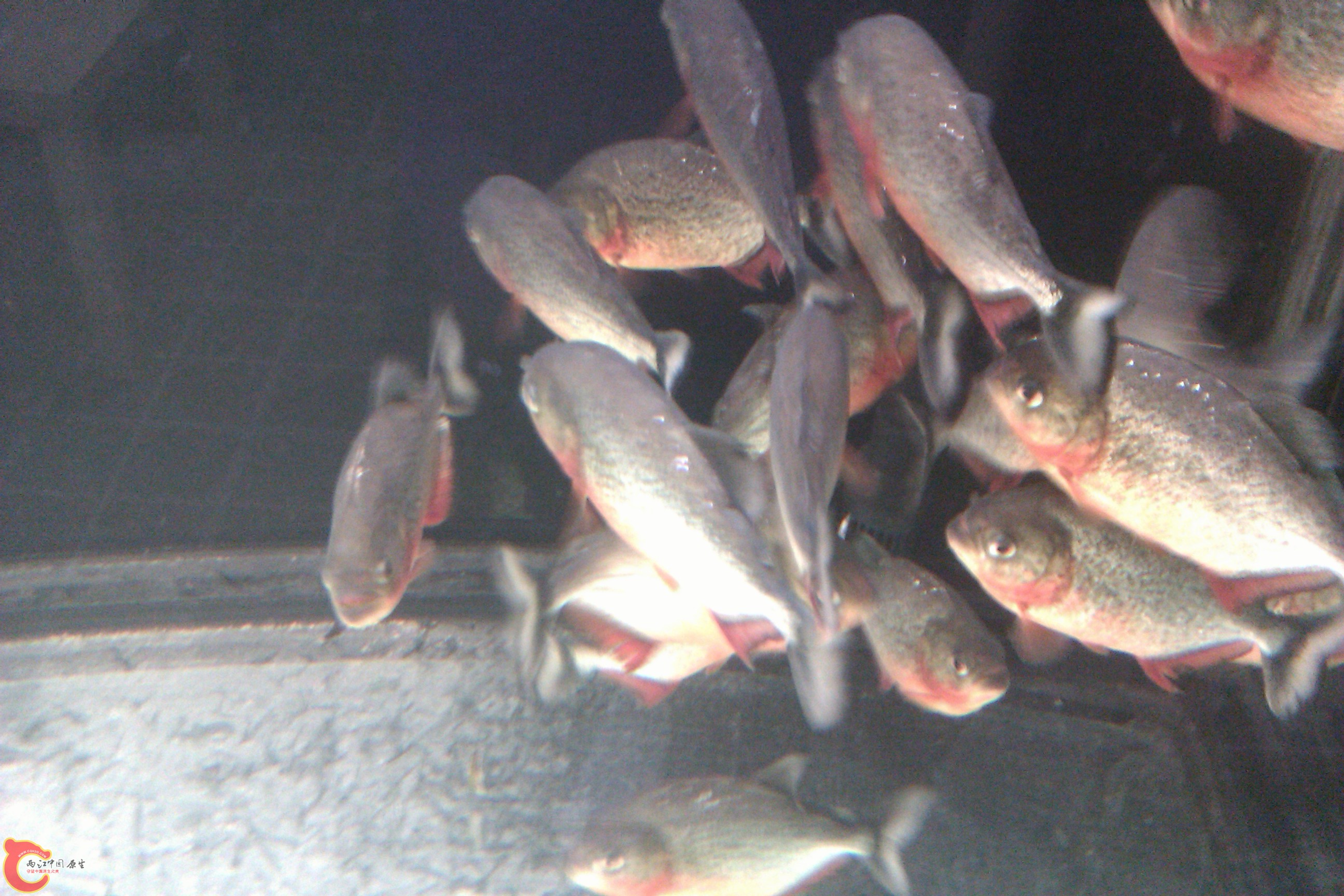 IMAG0037.jpg
