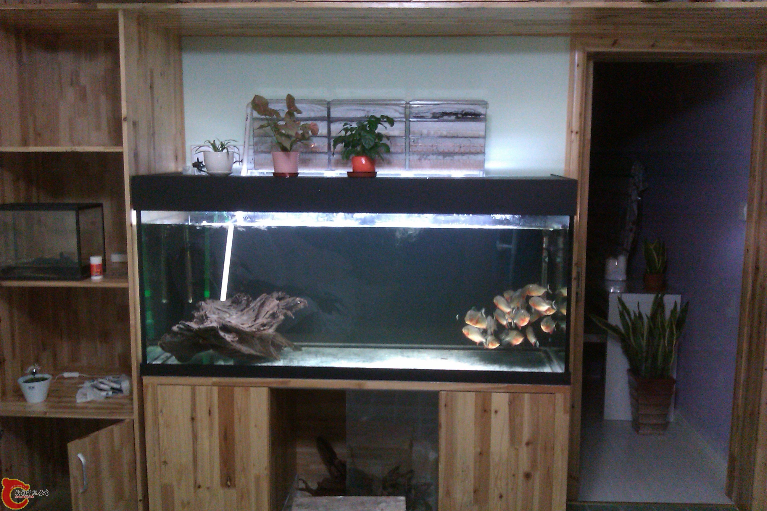 IMAG0034.jpg
