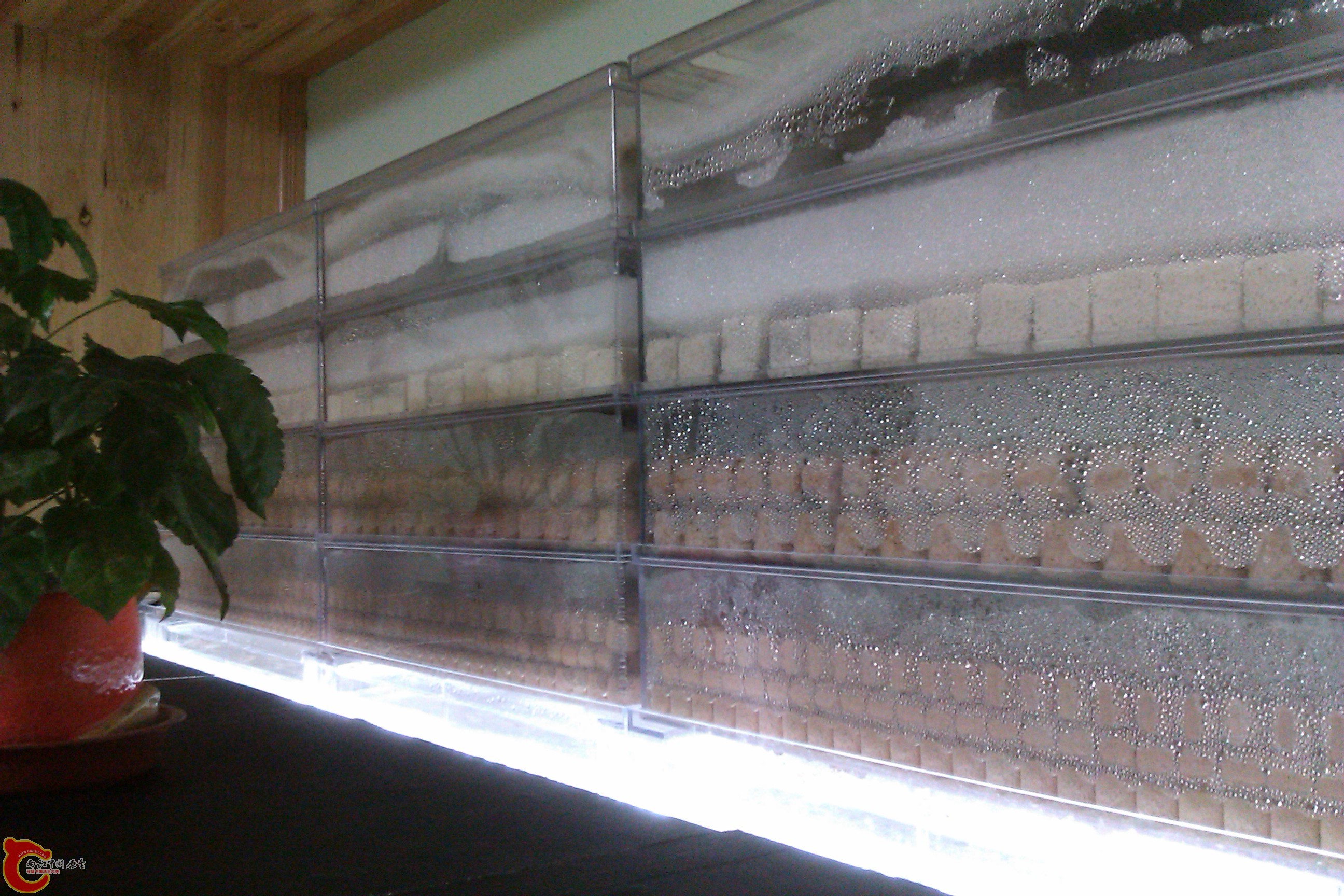 IMAG0035.jpg