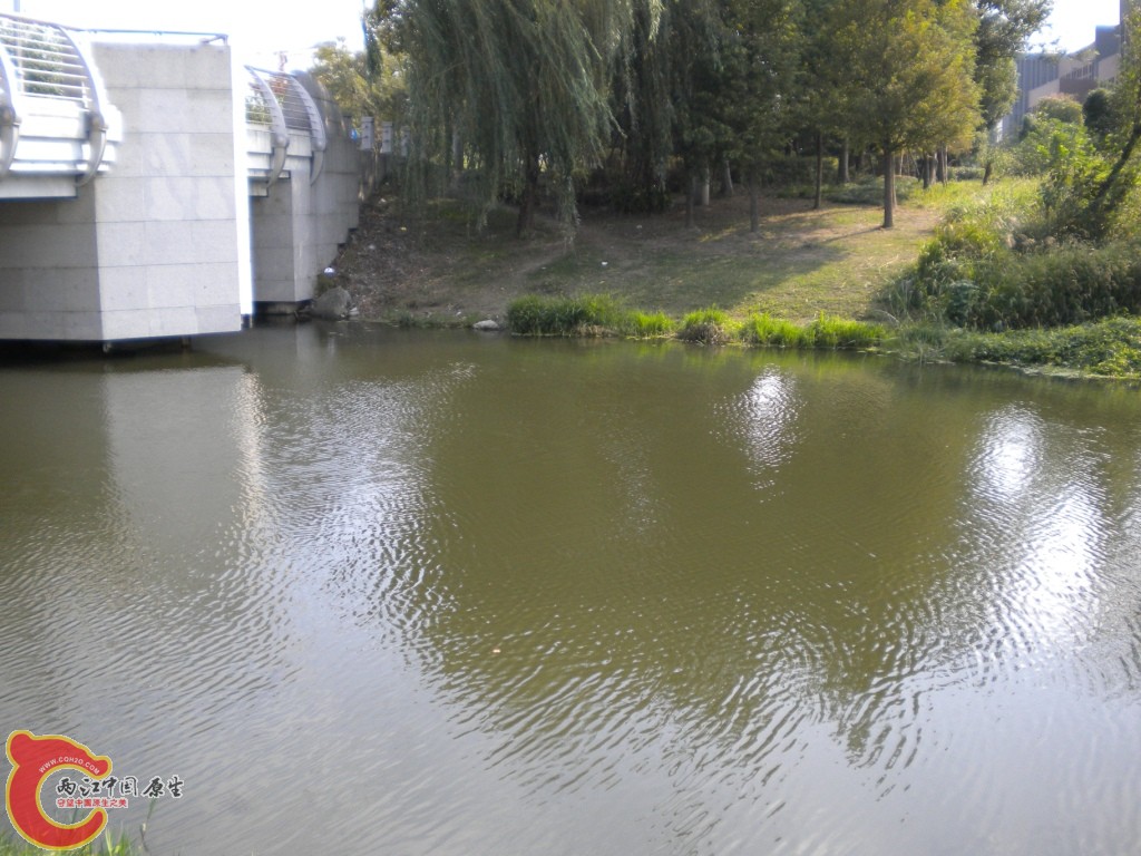 照片 001.jpg
