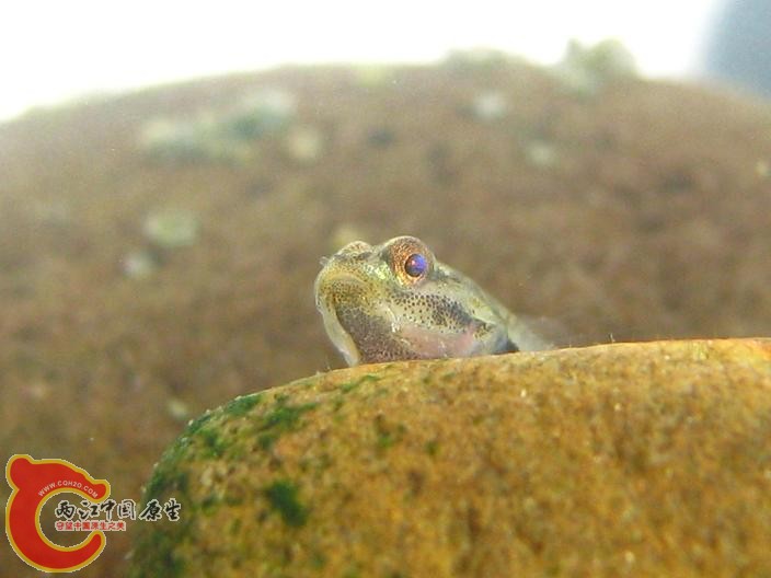 IMG_8587.JPG