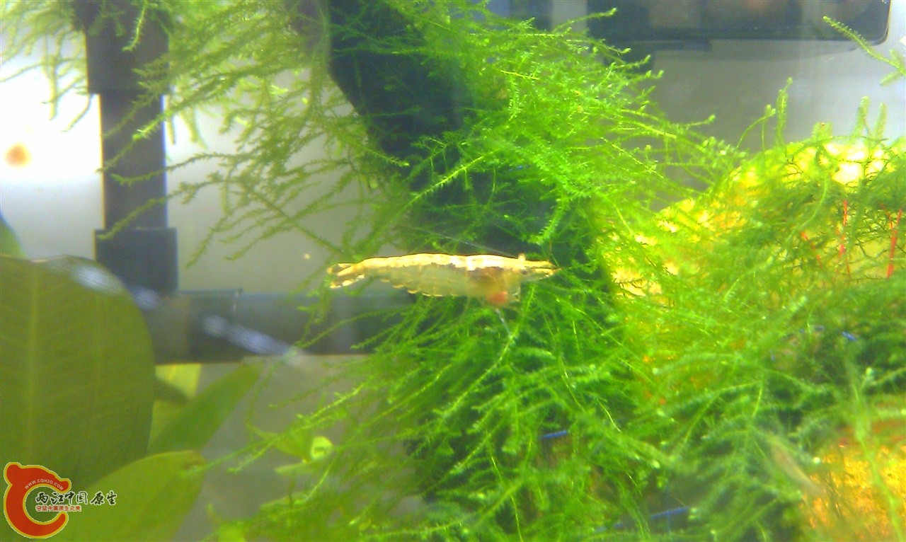 IMAG0108.jpg