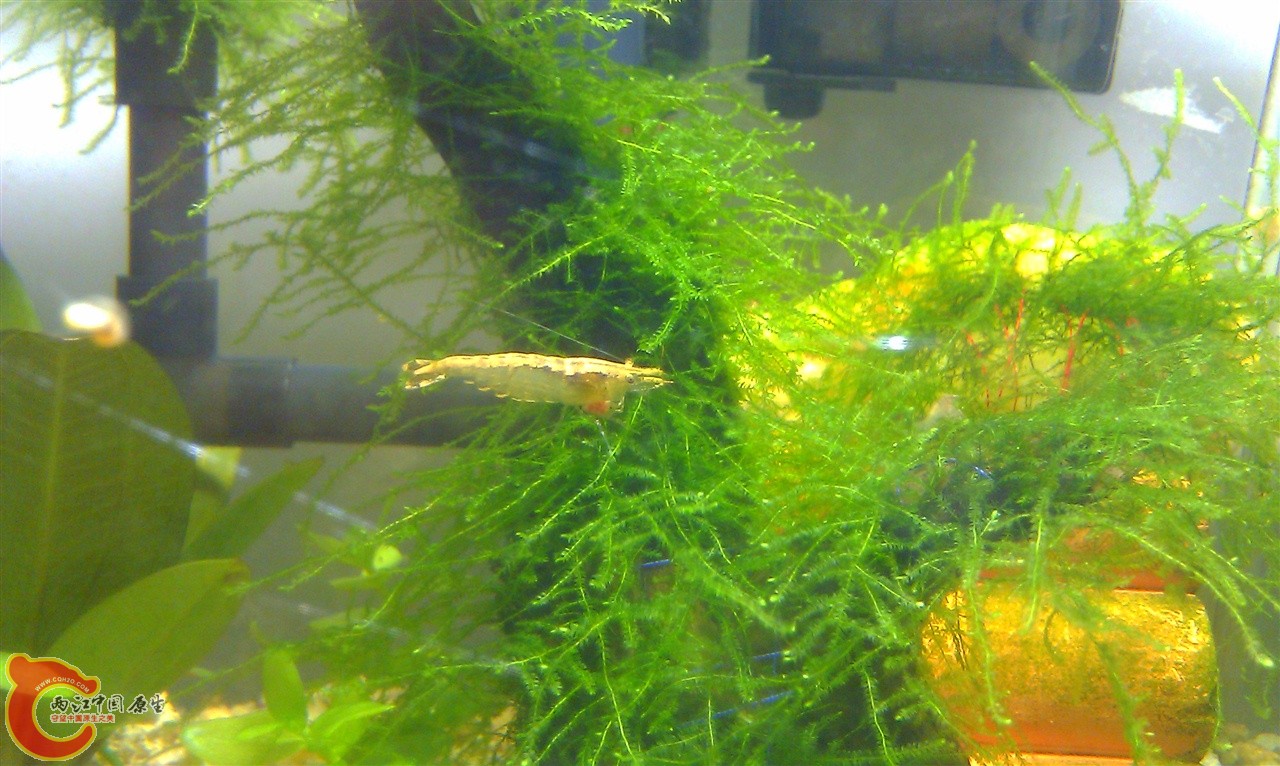 IMAG0109.jpg