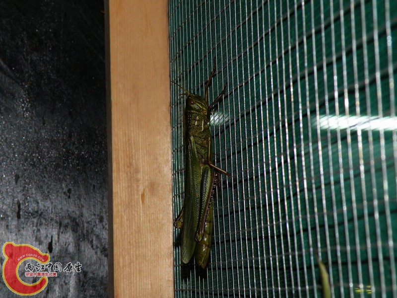 DSCN9228.JPG