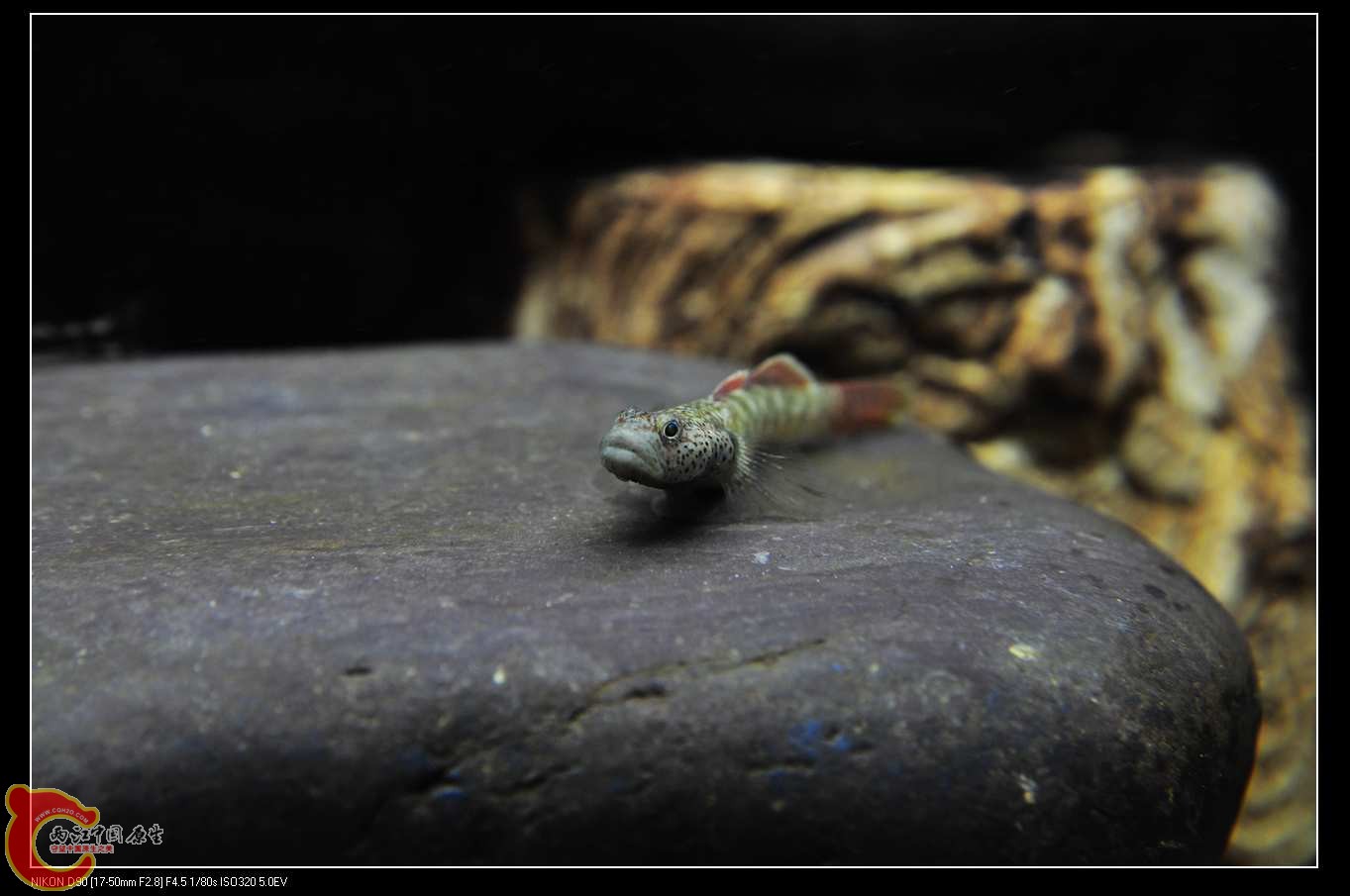 nEO_IMG_DSC_0140.jpg