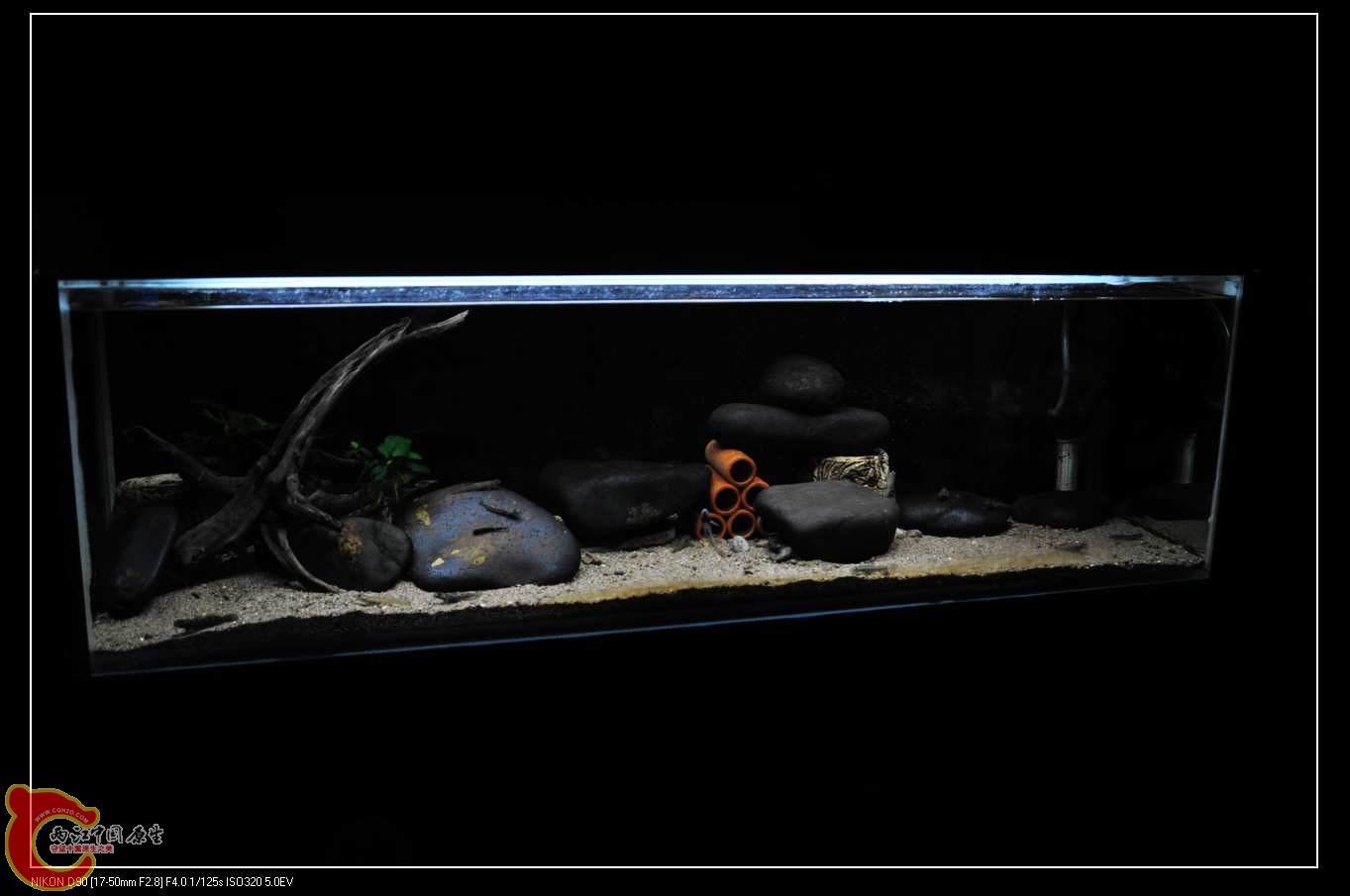 nEO_IMG_DSC_0162.jpg