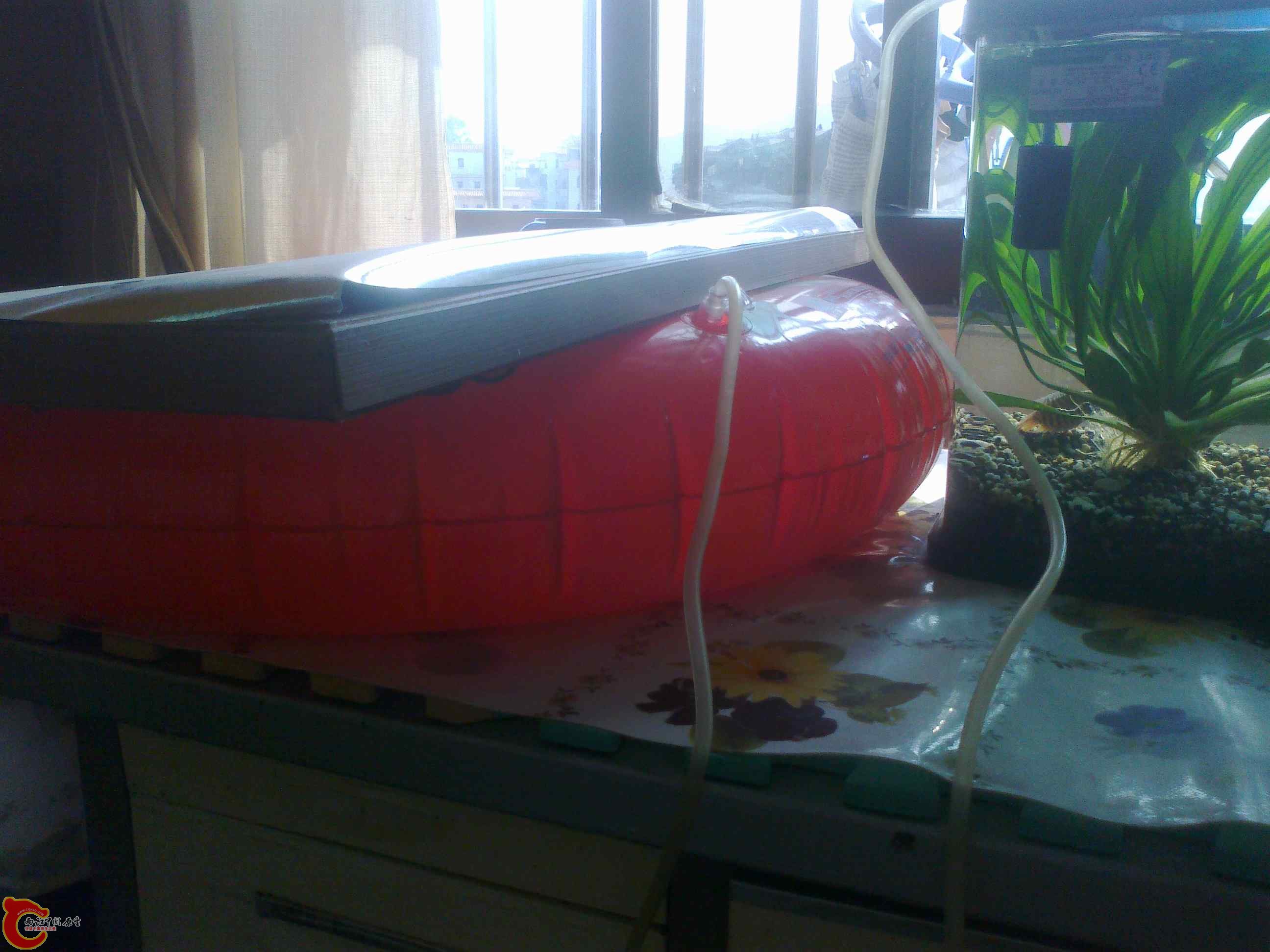 20111029112.jpg