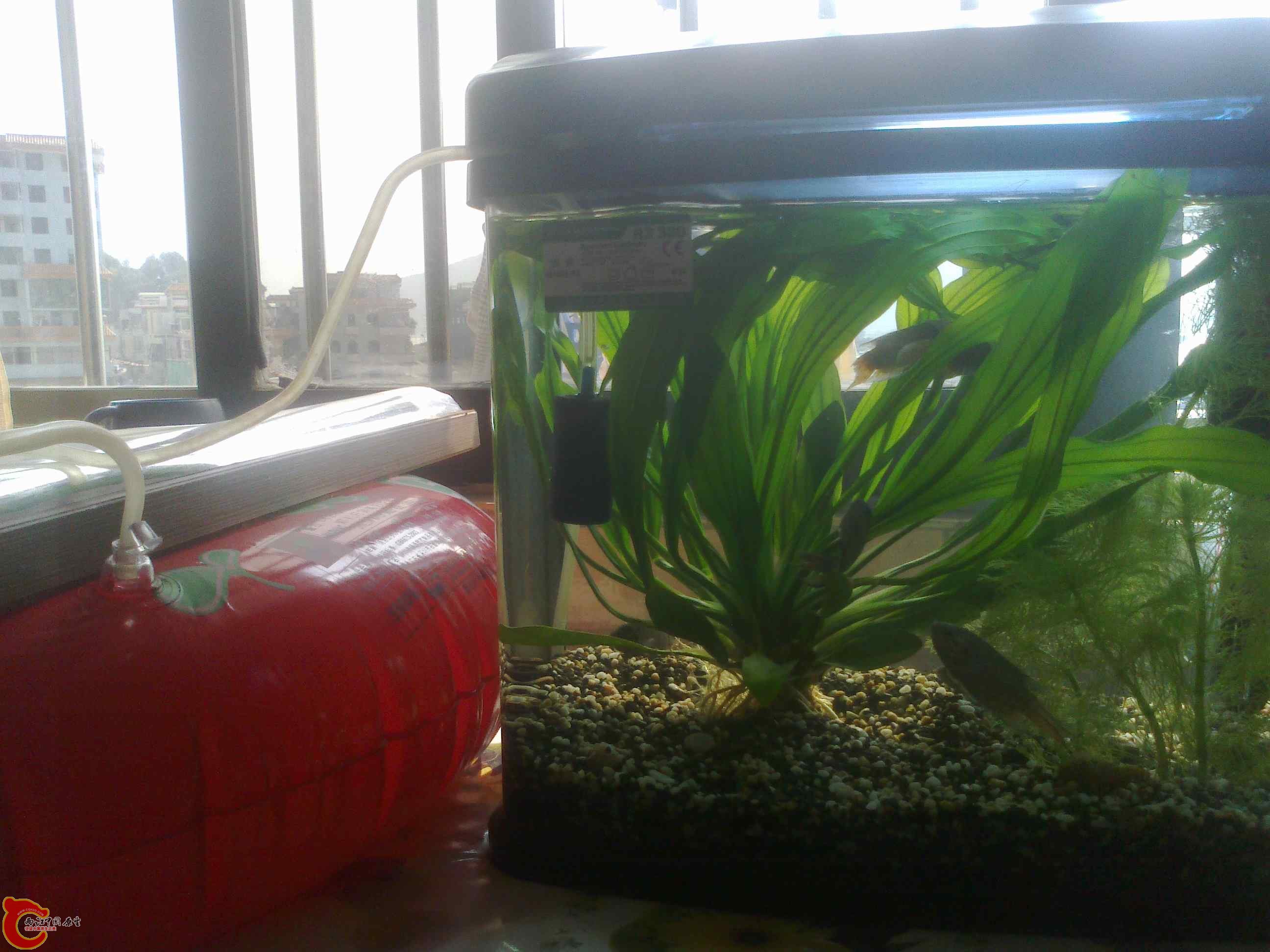 20111029113.jpg