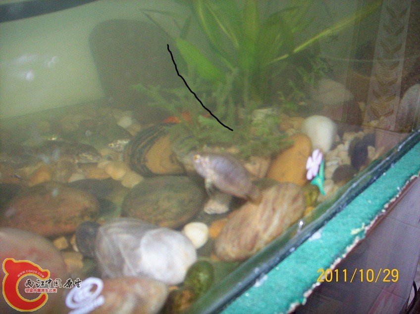 100_5900.JPG