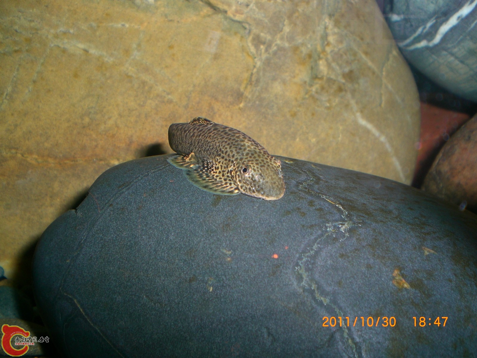 CIMG6967.JPG