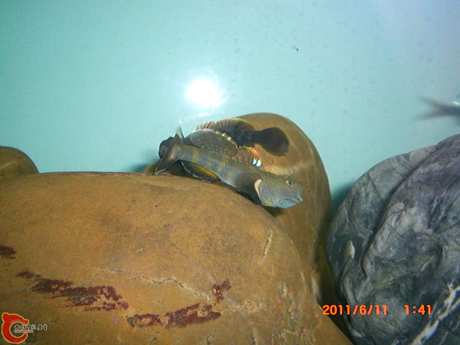 CIMG6333.JPG