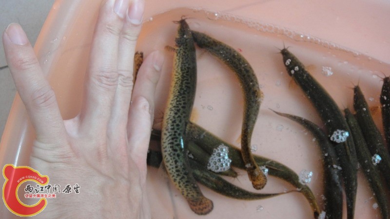 DSC07774_缩小大小.JPG