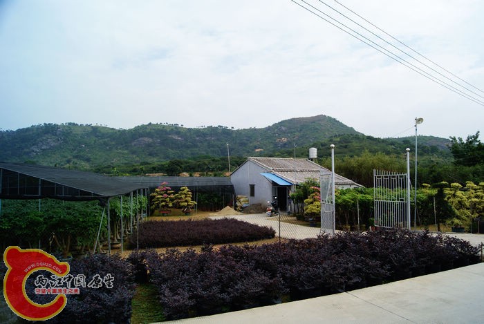 04.jpg