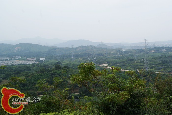 72.jpg