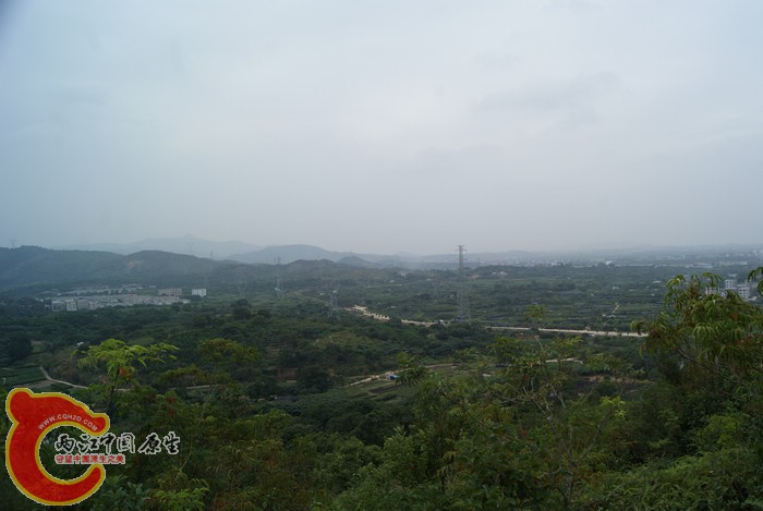 74.jpg