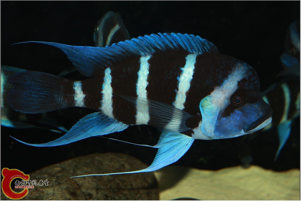 2011110613.jpg
