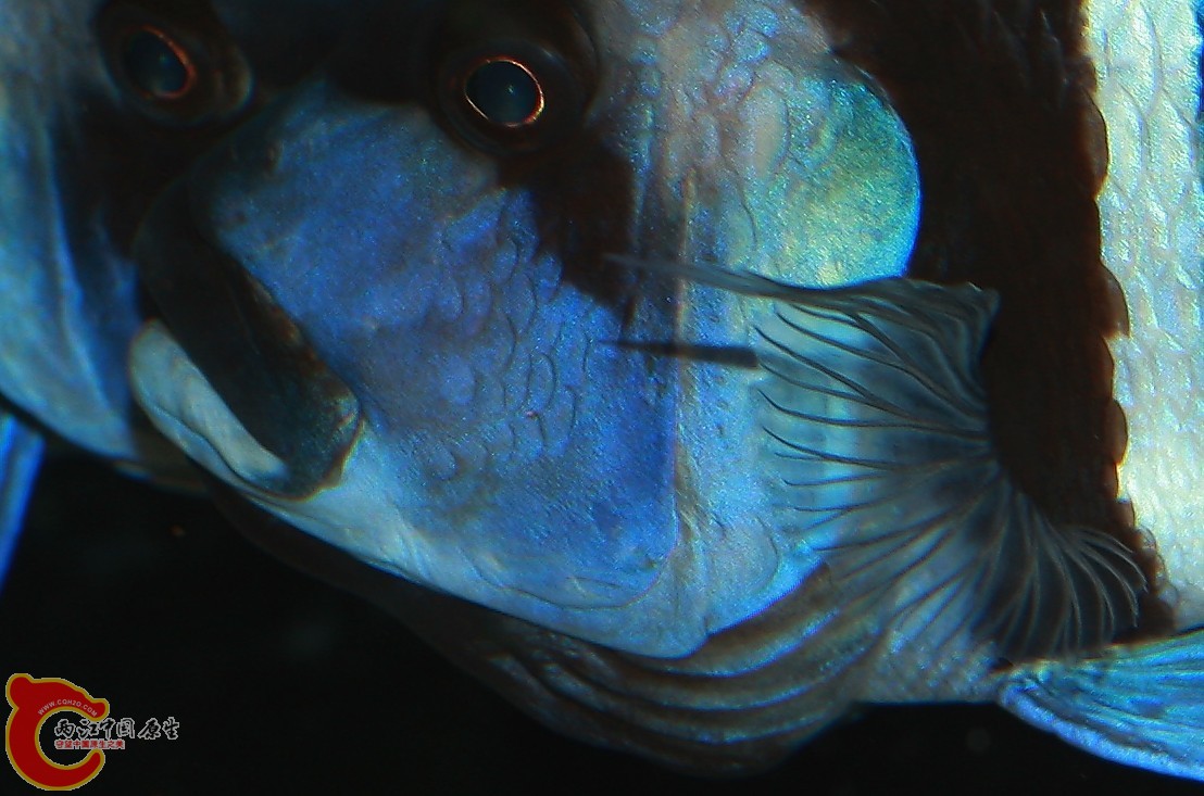 2011110601.jpg
