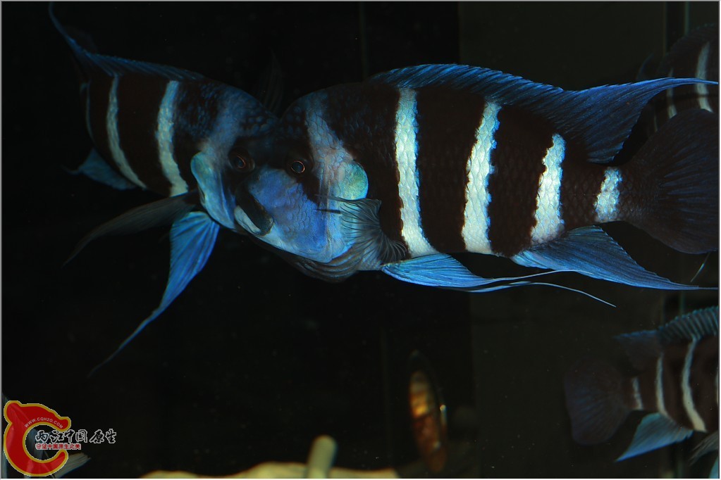2011110602.jpg