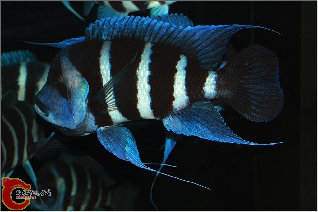 2011110605.jpg