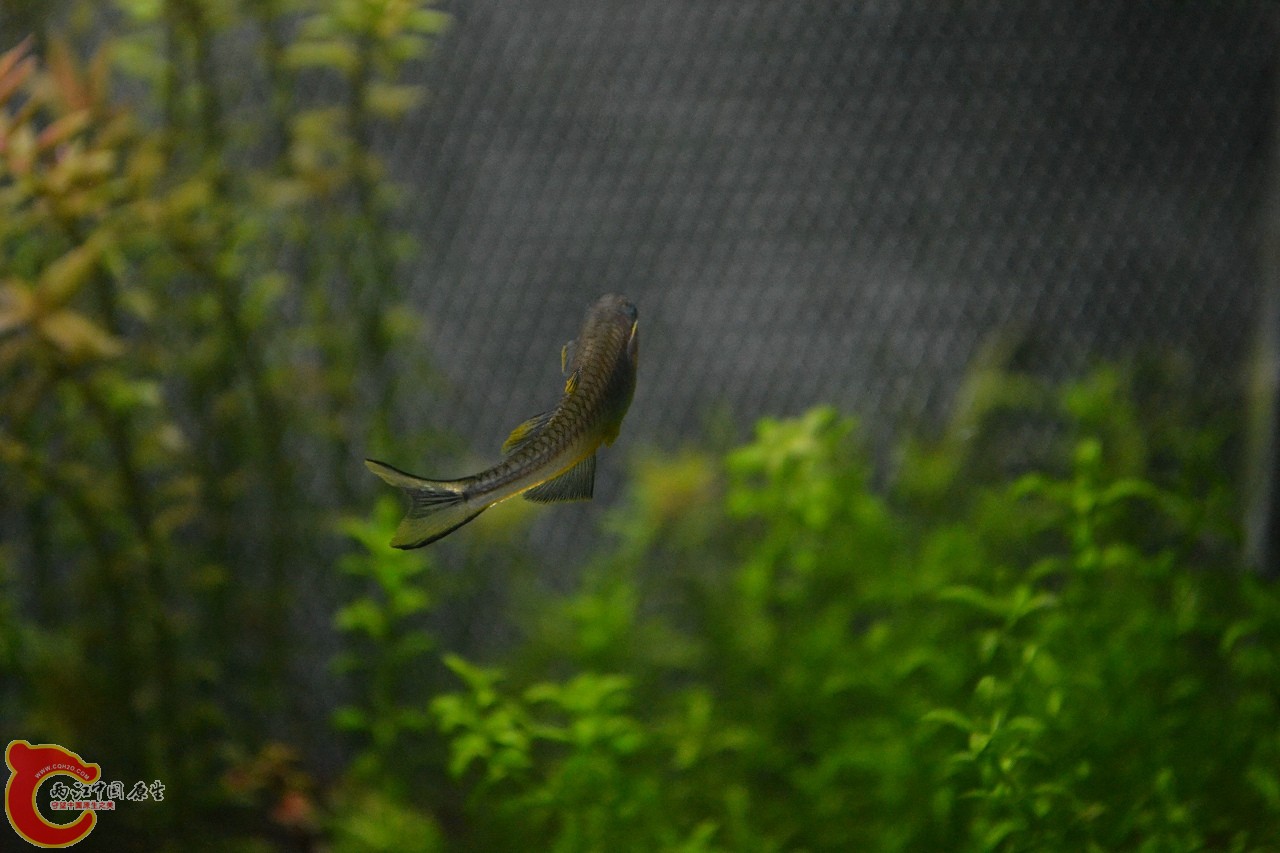 20111106-371.jpg