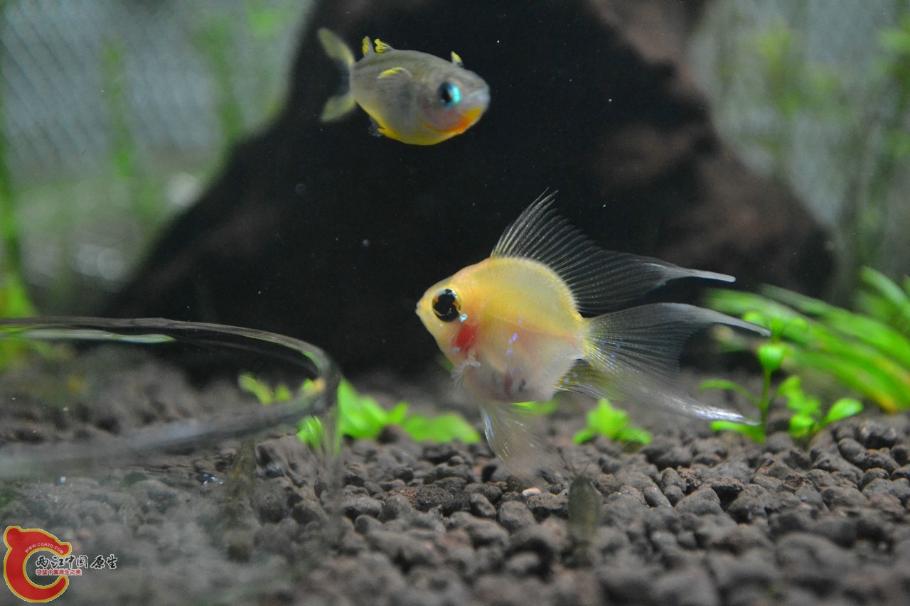 20111106-373.jpg