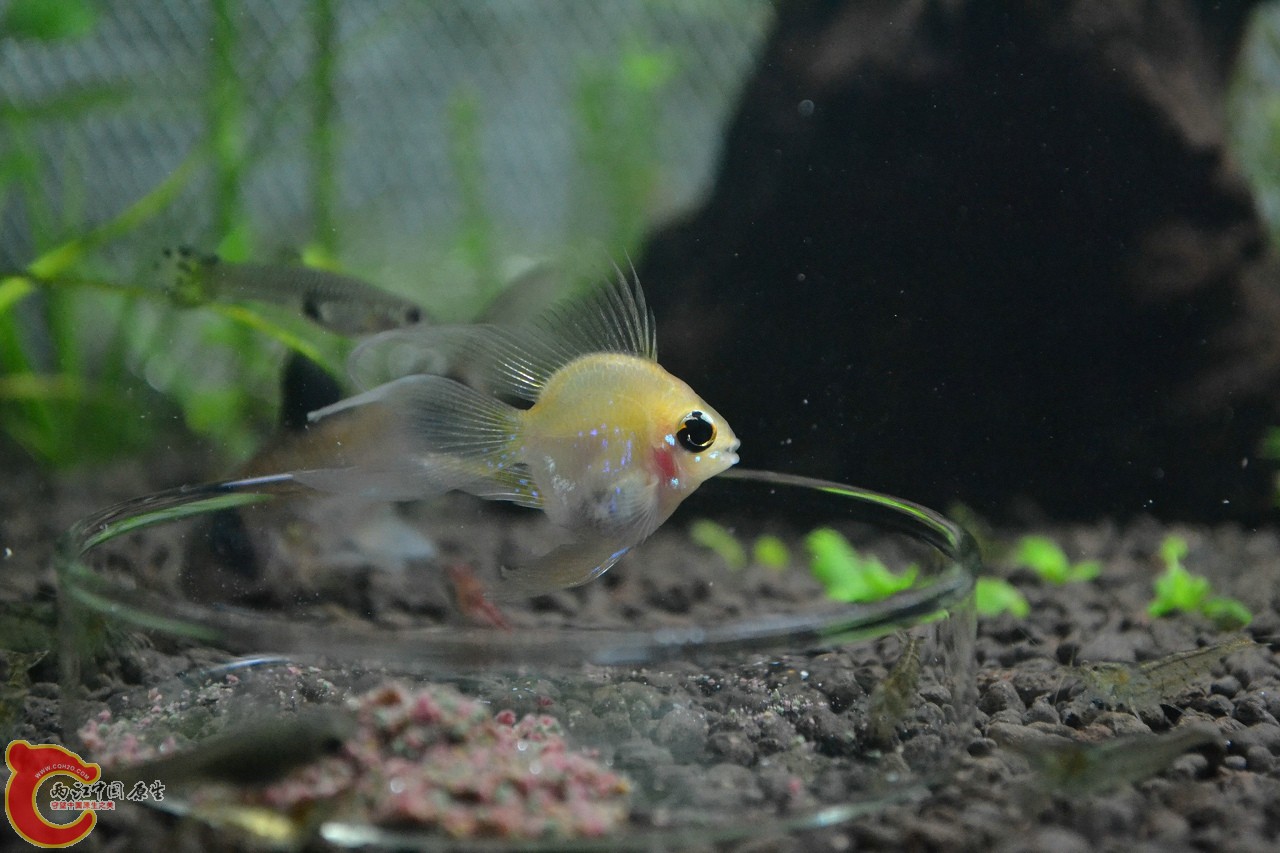 20111106-377.jpg