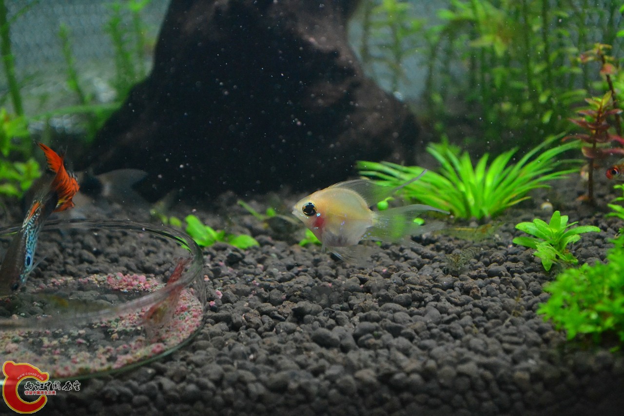 20111106-394.jpg