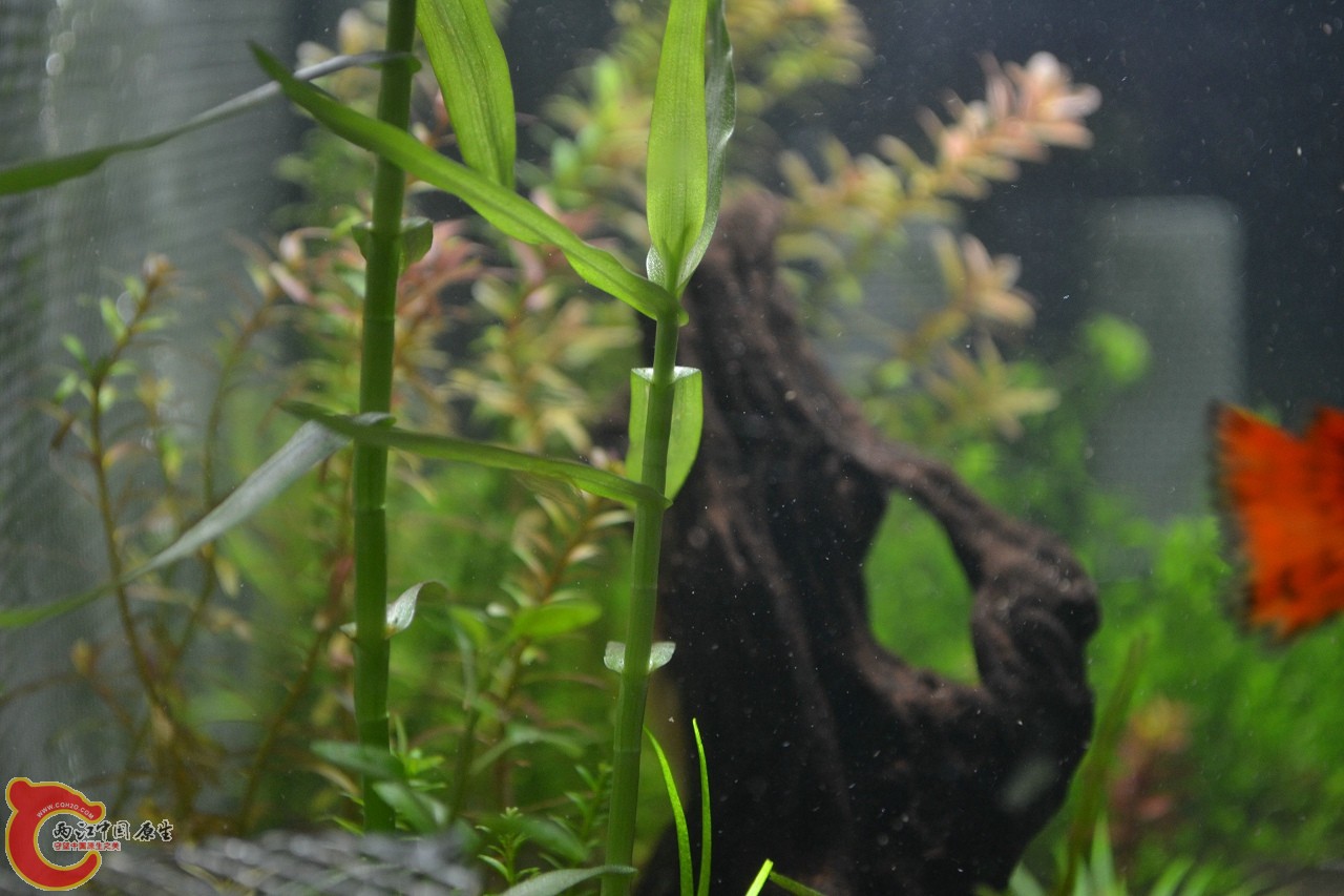 20111106-400.jpg
