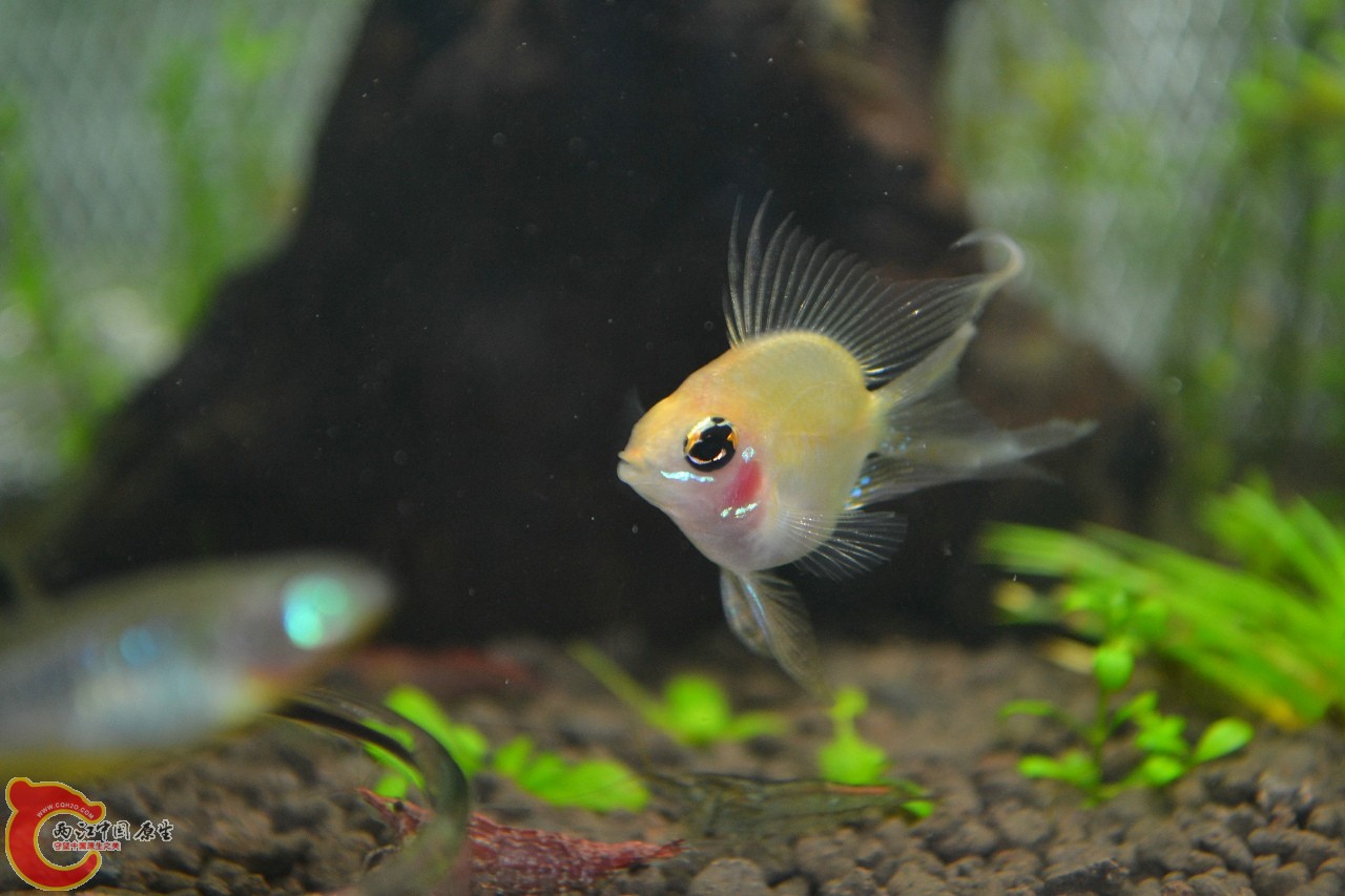 20111106-412.jpg
