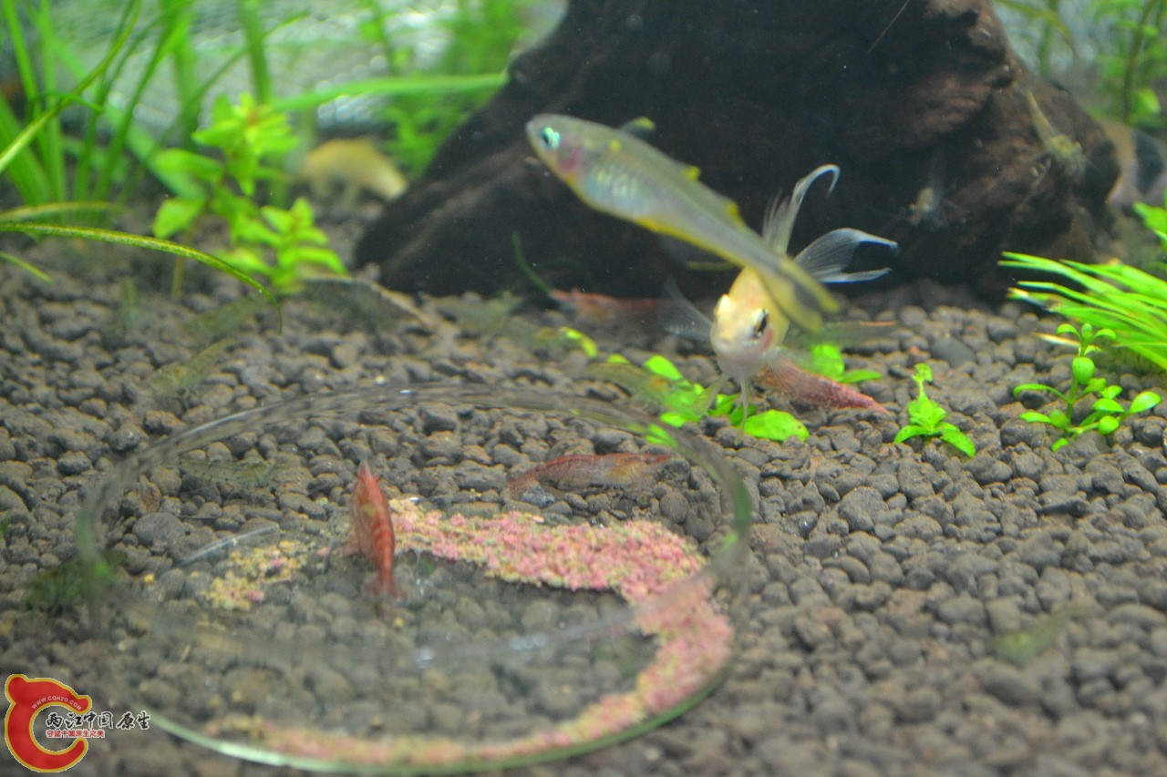 20111106-413.jpg