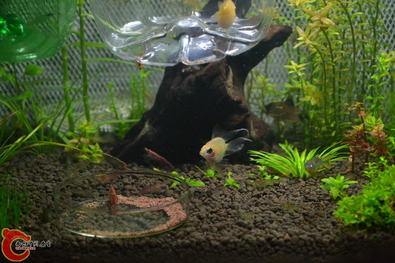20111106-414.jpg