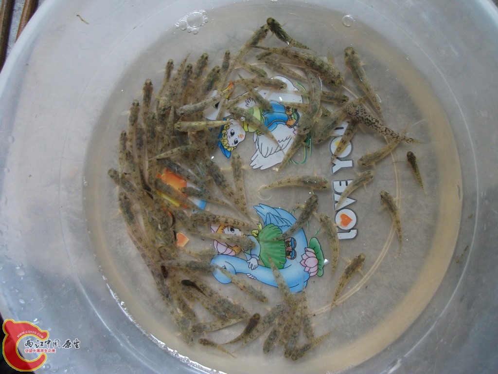 DSCF3646.JPG
