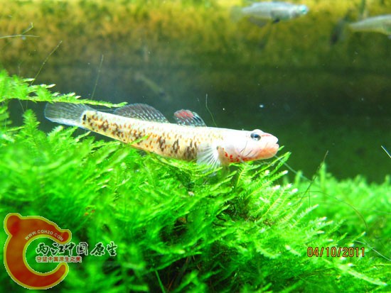 19IMG_7012.JPG