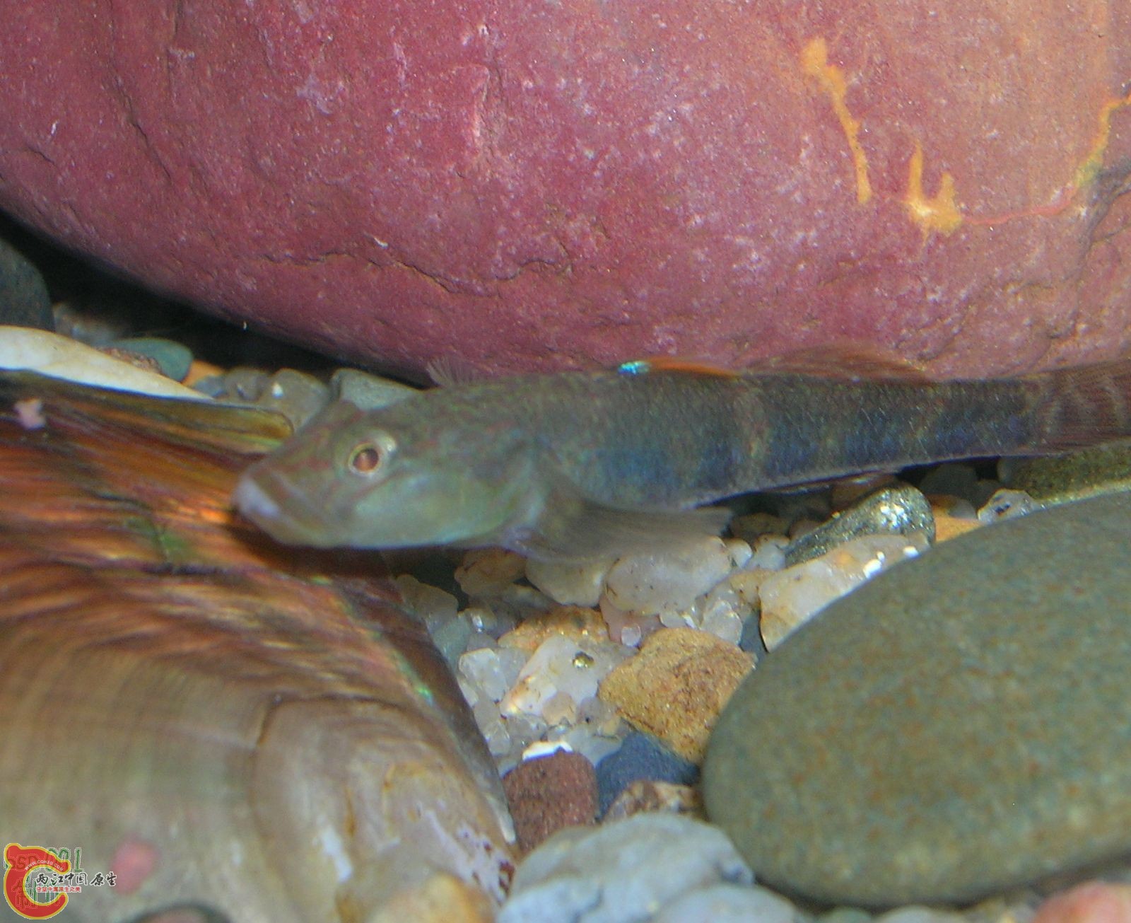DSCN3519.jpg
